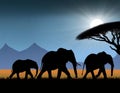 Serene silhouette of elephants walking under an acacia tree with a sunset backdrop Royalty Free Stock Photo