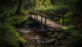 Tranquil scene of a forest footpath bridge generated by AI