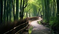 Tranquil scene of green forest, bamboo grove generated by AI