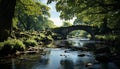 Tranquil scene green forest, flowing water, ancient stone bridge generated by AI Royalty Free Stock Photo