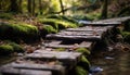 Tranquil scene green forest, flowing water, autumn leaves, wooden bridge generated by AI Royalty Free Stock Photo