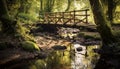 Tranquil scene green forest, flowing water, reflection, old stone bridge generated by AI Royalty Free Stock Photo