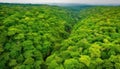 Tranquil scene of green meadow and mountain range, aerial view generated by AI Royalty Free Stock Photo