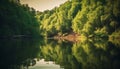 Tranquil scene of green wilderness, reflecting beauty in nature sunset generated by AI