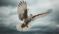 A tranquil scene of a homing pigeon hovering mid air generated by AI Royalty Free Stock Photo