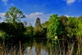 A tranquil scene by the lake Royalty Free Stock Photo