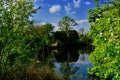 A tranquil scene by the lake Royalty Free Stock Photo