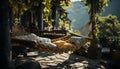 A tranquil scene of a man resting on a hammock generated by AI Royalty Free Stock Photo