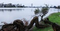 Tranquil scene of Oakland, California`s Lake Merritt Royalty Free Stock Photo