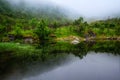 Tranquil Scene. A relaxing evening on shore of lake. Fog descends on green trees and bushes, which are reflected in the calm