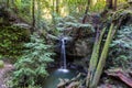 Sempervirens Falls in Big Basin Redwoods State Park, California Royalty Free Stock Photo