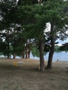 Tranquil scene of a summer park with empty tables and chairs on the lakeside.