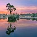 Sunrise reflected in a lake in a forest in the South of The Netherlands Royalty Free Stock Photo