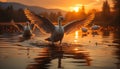 Tranquil scene sunset reflects on water, swan spreads wings generated by AI Royalty Free Stock Photo