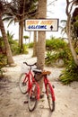 Tranquil scene with two bicycles, beach and palms Royalty Free Stock Photo