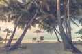 Beautiful beach. Chairs under palm trees sandy beach sea. Summer holiday and vacation concept for tourism. Inspirational beach Royalty Free Stock Photo