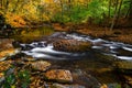 a stream that is surrounded by some leaves in the forest Royalty Free Stock Photo