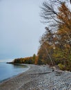 A Tranquil Shoreline Royalty Free Stock Photo