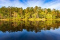 Tranquil shot of the reflections of trees and the sky in the water