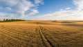 Expansive panoramic view of golden wheat fields under a blue sky with scattered clouds, showing tire tracks from agricultural Royalty Free Stock Photo