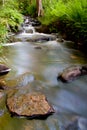 Tranquil stream