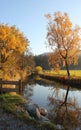 Tranquil stream in autumnal landscape