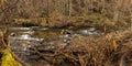 Tranquil stream cascades over a bed of rocks, creating a tranquil and serene atmosphere