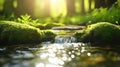 Small Waterfall Cascades Between Mossy Rocks on a Bright Sunny Day Royalty Free Stock Photo