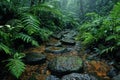 Tranquil stream flows through a lush jungle with moss-covered stones Royalty Free Stock Photo