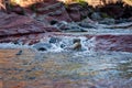 A tranquil stream flows over rocks, reflecting the red rock formations Royalty Free Stock Photo