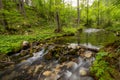 Tranquil stream in KamniÃÂ¡ka Bistrica valley