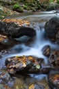 Tranquil stream running over a rocky terrain and foliage, creating a peaceful and serene atmosphere