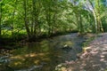 A tranquil stretch of the river Heddon in north Devon Royalty Free Stock Photo