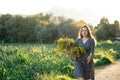 Tranquil summer in countryside. Stylish young woman in blue vintage dress and hat walking with straw basket at yellow Royalty Free Stock Photo