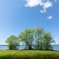 Tranquil summer landscape with green trees, lake and vibrant sky with white clouds in sunny day. Royalty Free Stock Photo