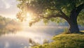 Tranquil summer landscape tree, water, sunlight, rural scene, beauty in nature