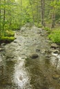 Tranquil Summer Stream Royalty Free Stock Photo