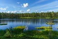 Tranquil summer view across a small lake in northern Sweden Royalty Free Stock Photo