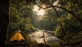Tranquil sunrise hike through wet forest, camping in wilderness beauty generated by AI