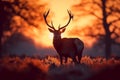 Tranquil sunrise Silhouette of a stag peacefully grazing in meadow