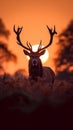 Tranquil sunrise Silhouette of a stag peacefully grazing in meadow
