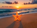 Tranquil Sunset at Beach with Orange Sky, Starfish, and Echinoderm