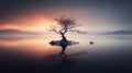 Tranquil Sunset: Isolated Tree In Calm Lake