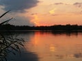 Tranquil sunset on the lake with a cane