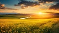 Tranquil Sunset Over A Meadow Of Yellow Flowers And Grass