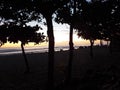 Tranquil Sunset over the Sea with Silhouetted Trees and a Colorful Sky. Bali, Indonesia. Royalty Free Stock Photo