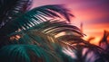 Tranquil sunset silhouette of palm tree in tropical paradise generated by AI