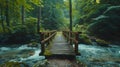 Tranquil swiss forest picturesque bridge over river, lush greenery, captivating scenery