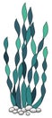 Tranquil Teal Seaweed Floating Royalty Free Stock Photo