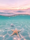 Tranquil tropical bay split view with starfish and seashell during pastel sunset Royalty Free Stock Photo